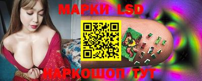 крисы Лесосибирск