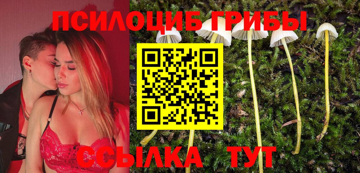 Галлюциногенные грибы ЛСД  цены   Шарыпово  Вход с VPN  Галлюциногенные грибы Magic Shrooms 