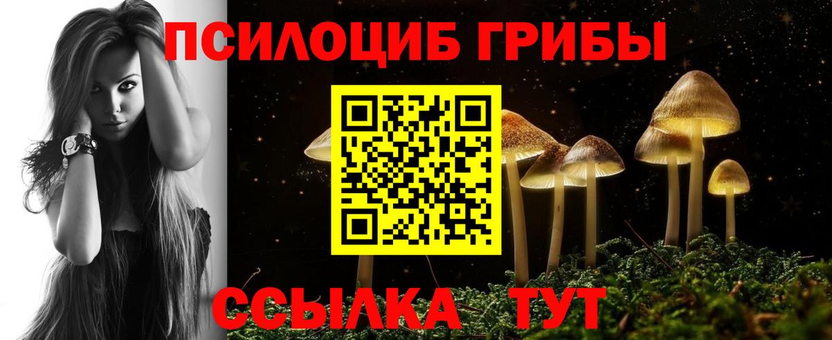 Галлюциногенные грибы Psilocybine cubensis Шарыпово